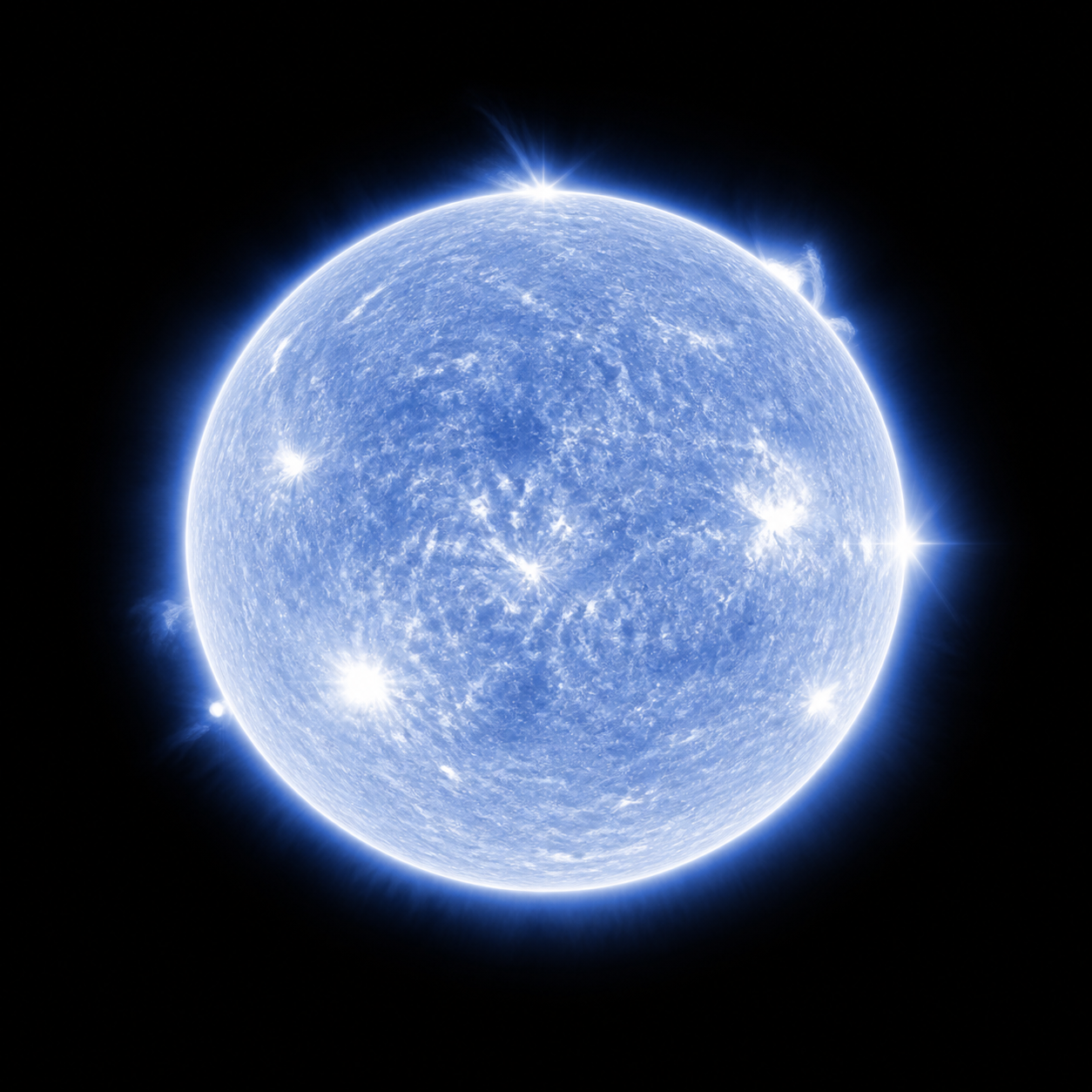 Vega